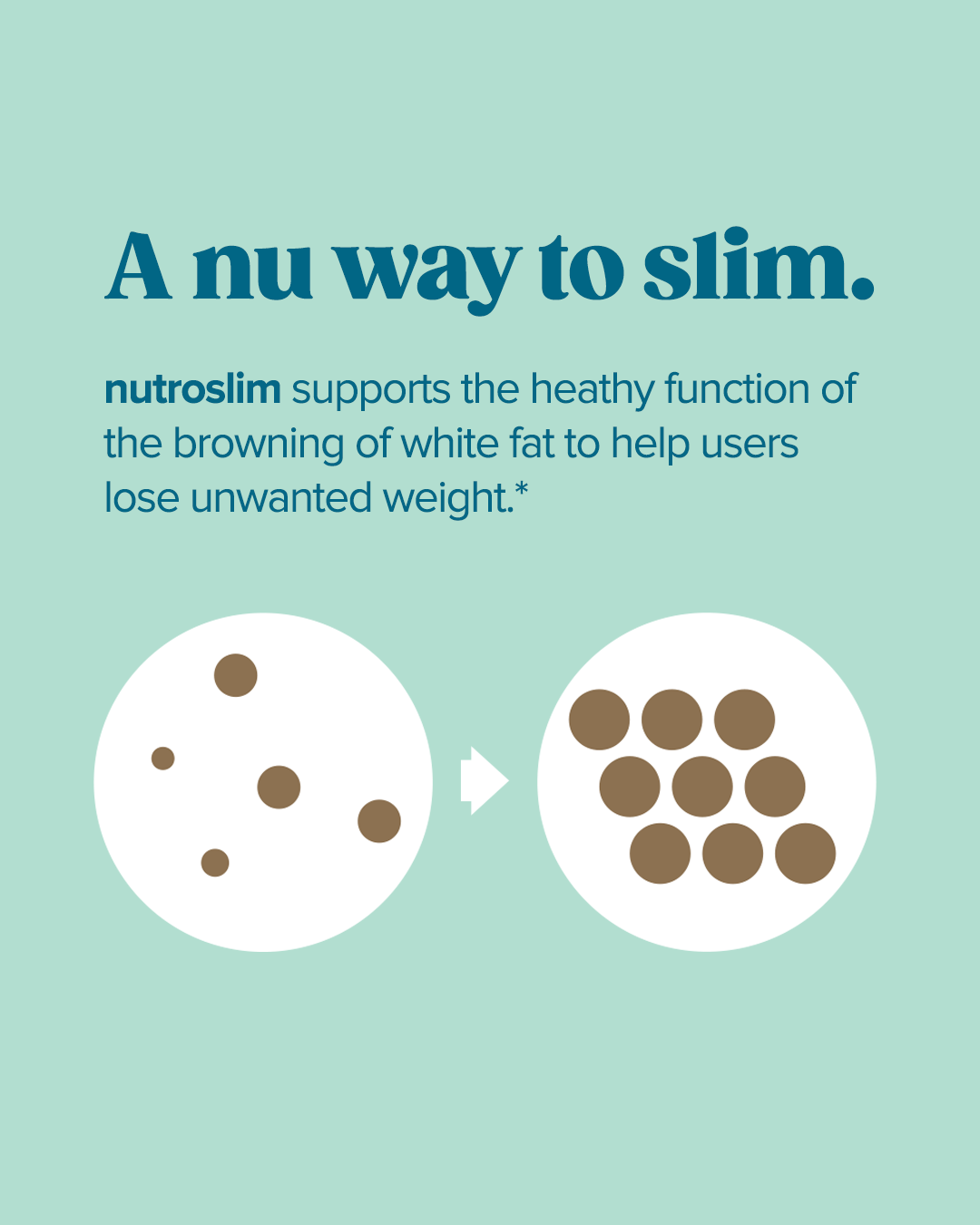 Nutroslim (PEP19™, 5 mg)